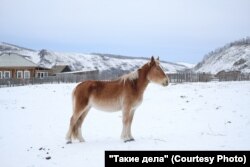 Село Чиланы. Фото: Виль Равилов для ТД