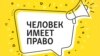 Миссия (не?)выполнима. Что делать, если вы нашли животное в беде