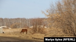 Деревня имени 18-го Партсъезда