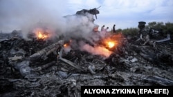 Обломки Boeing 777 рейса MH17 около села Грабово, 17 июля 2014 года