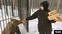 Нынешнее руководство города и региона вырастило в себе "медведей"